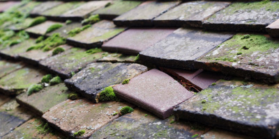 Jesus Lane roof repair costs